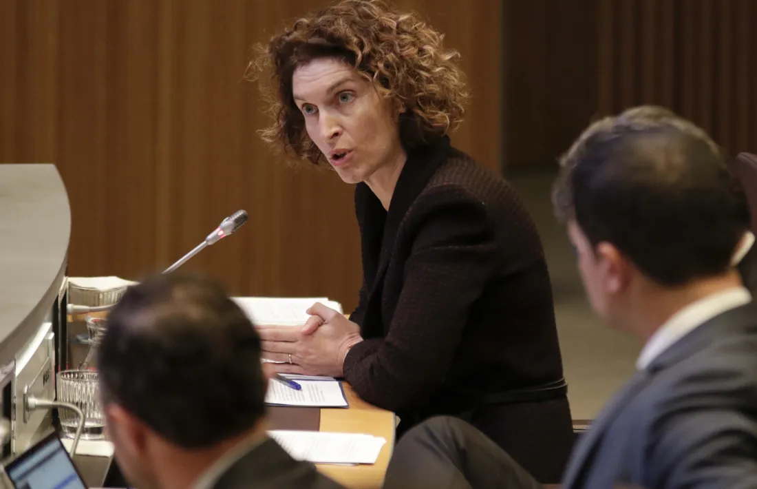 La ministra d’Afers Exteriors, Maria Ubach, en una intervenció al Consell General.