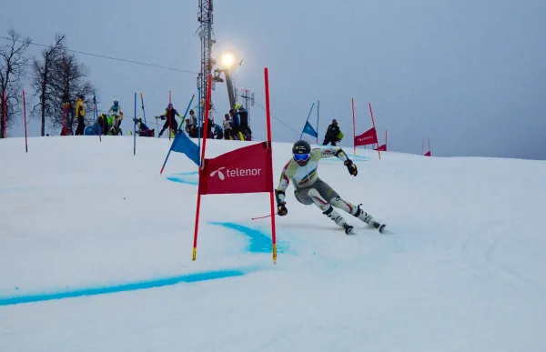 p._29_joan_verdu_esqui_alpi