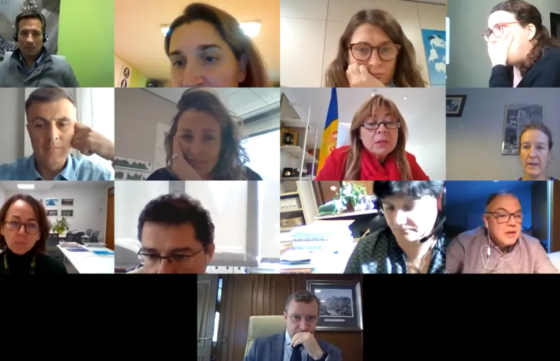 Un moment de la reunió telemàtica de la Comissió d’informació i vigilància del centre de tractament tèrmic de residus.