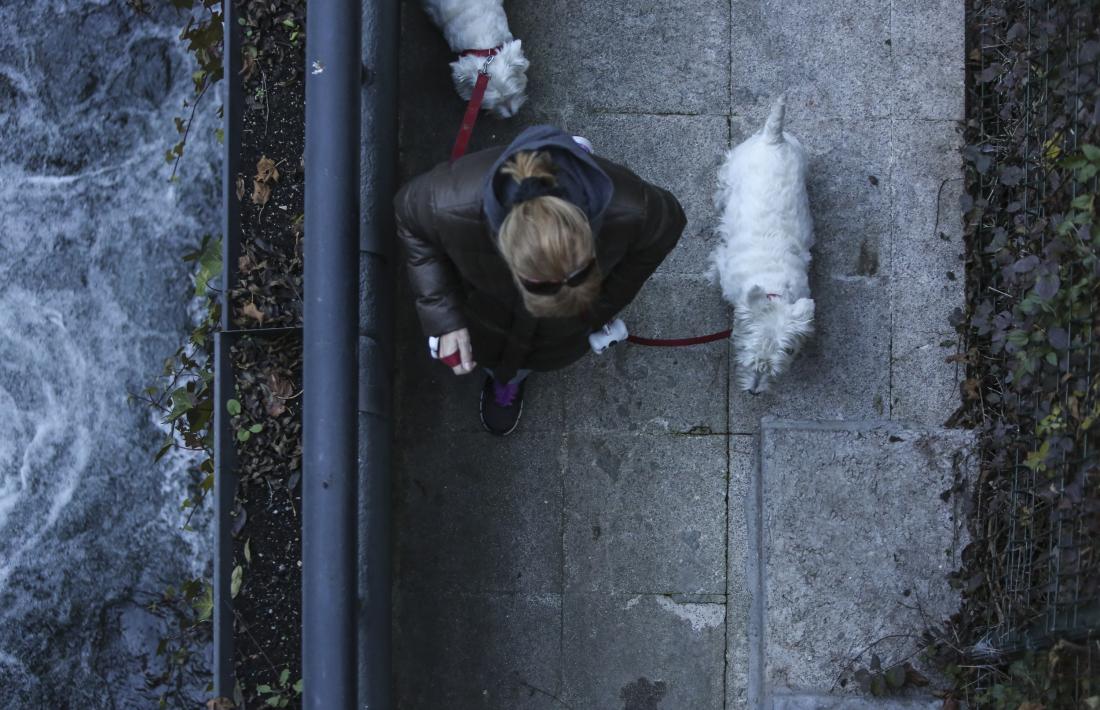 Una dona surt a passejar amb dos gossos.