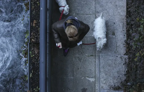 p._09_gossos_-_facundo_santana