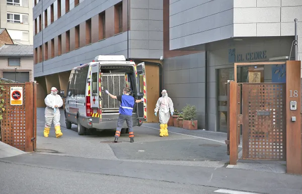 p._3.1_cedre_-_facundo_santana_0