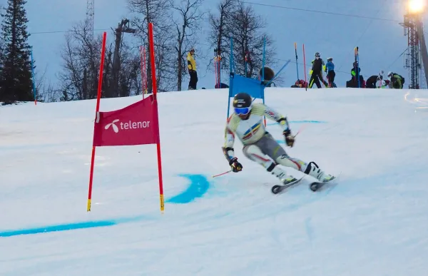 p._29_fae_joan_verdu