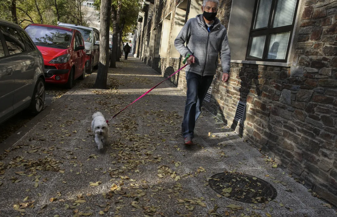 Un gos amb el propietari.
