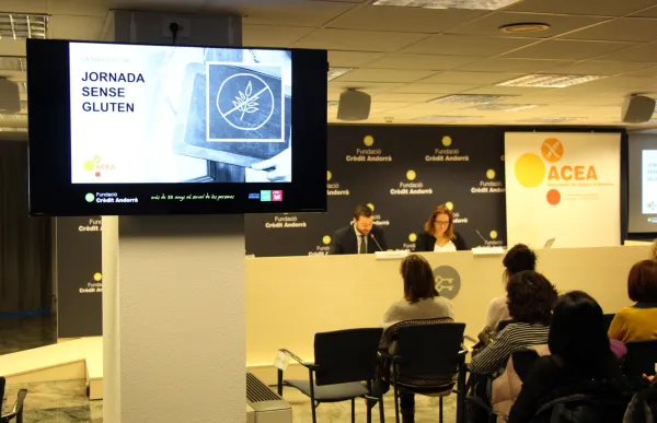 p._11_1._conferencia_celiaquia_-_agencies