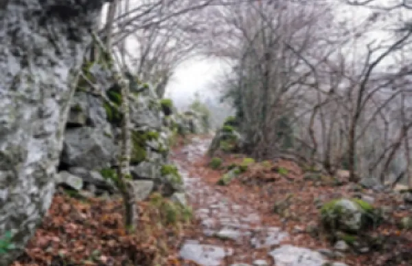 152797_thumb_captura_de_pantalla_2020-12-11_a_les_13.30.09