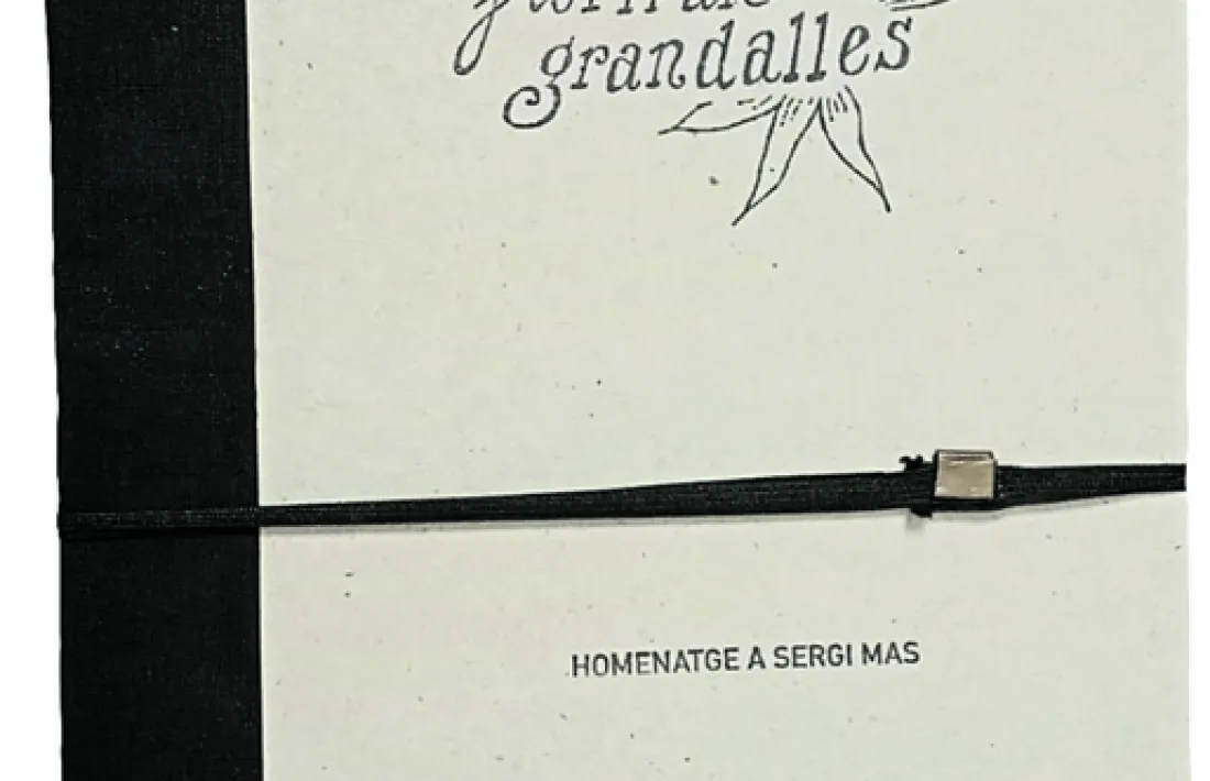 Portada de la carpeta, un llibre-objecte preciós com poques vegades s'ha vist entre nosaltres. Cap, de fet, com a mínim en el que portem de mil·lenni.