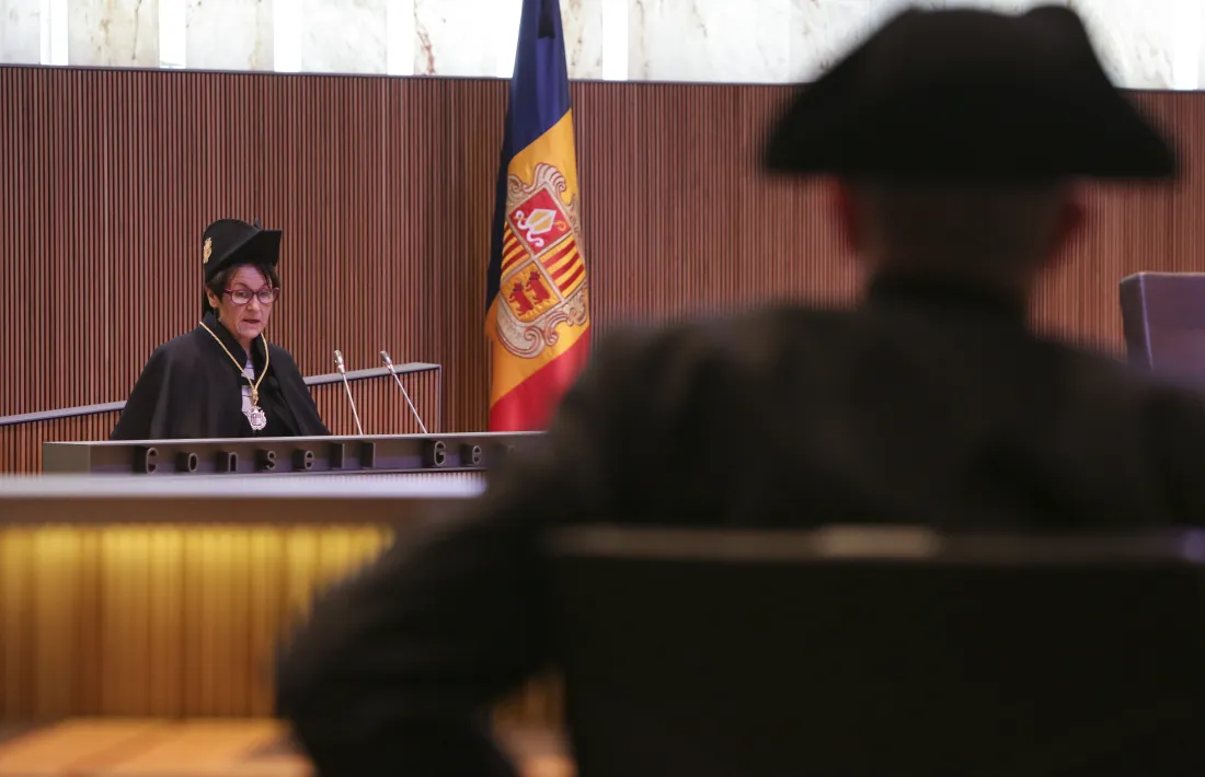 La síndica general, Roser Suñé, en un moment del seu discurs en la tradicional sessió de Sant Tomàs al Consell General.