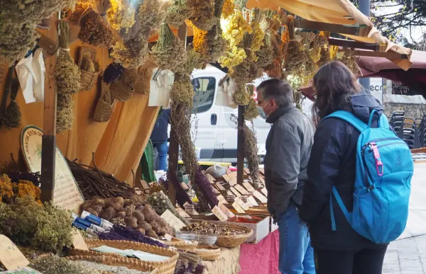 mercat_encamp_0