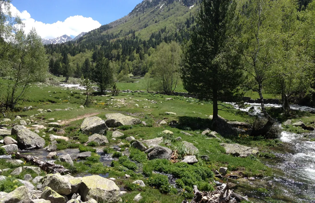 Una imatge de la vall del Madriu.