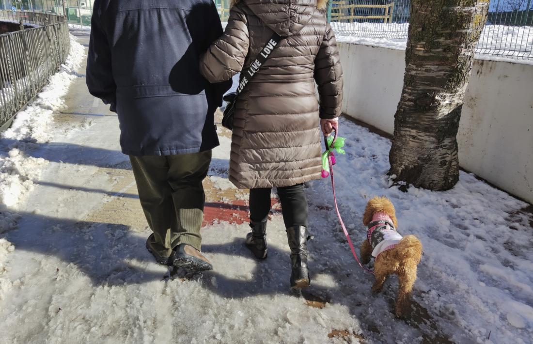 Els propietaris de gossos difunts s’adrecen a Medi Ambient per donar-los de baixa.