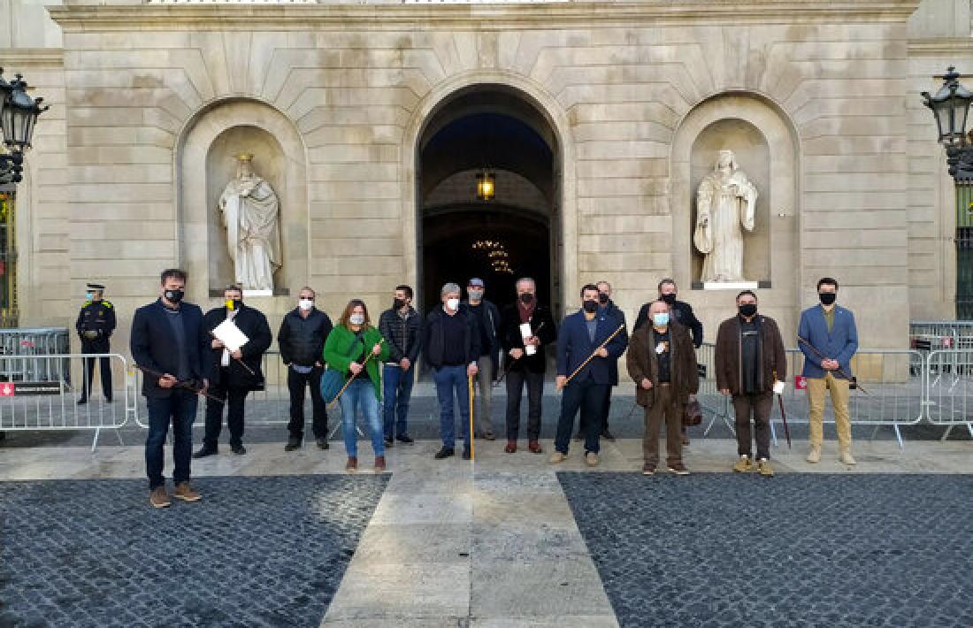 Els alcaldes pirinencs davant del Palau de la Generalitat, aquest migdia. 