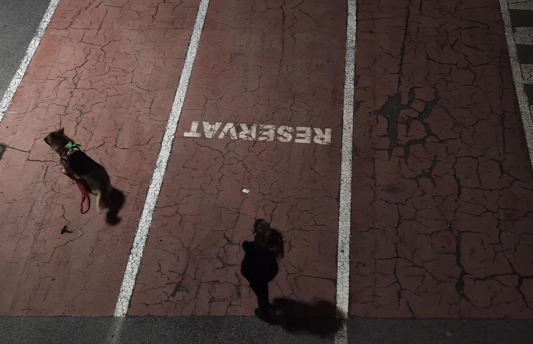 Un gos passejant per la via pública.