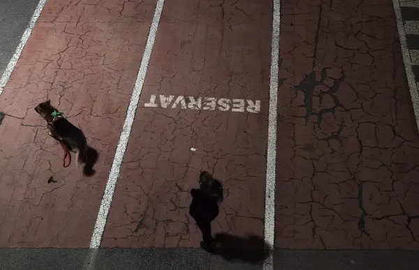 p._12.1_gossos_-_facundo_santana