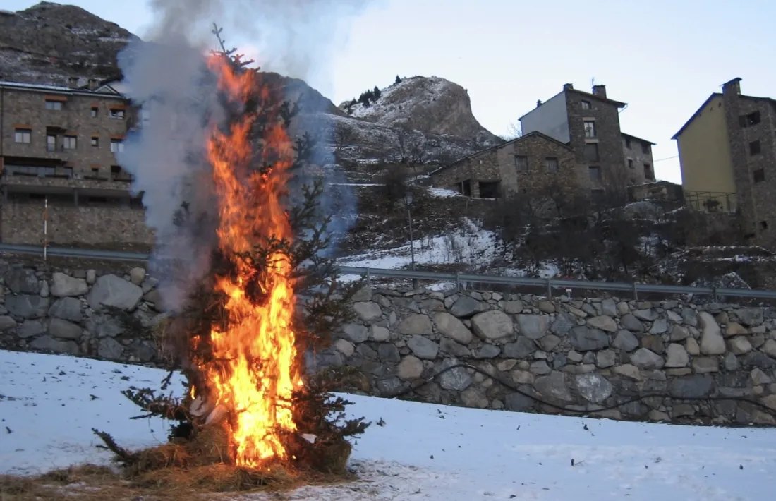 Segons la tradició en funció de com cremi l'arbre la resta d'hivern serà dur o suau.