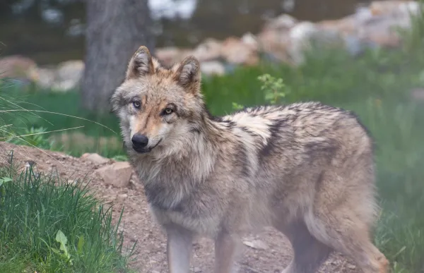 117945131_3448564428540400_6641447889037169939_o