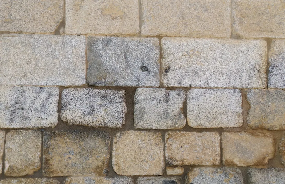 Part de la façana de la catedral de Santa Maria encara amb restes de la bretolada. 