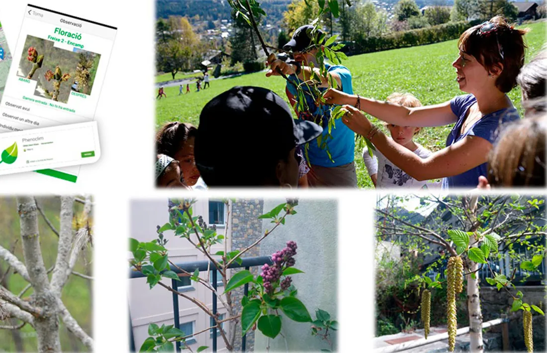 Algunes de les activitats del projecte 'Phénoclim'.