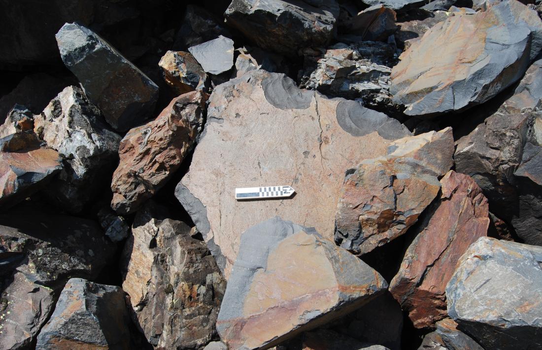 Cal una vista molt fina per detectar aquest gravat antropomorf a la pedra: aquest és el que va desaparèixer el 2009.