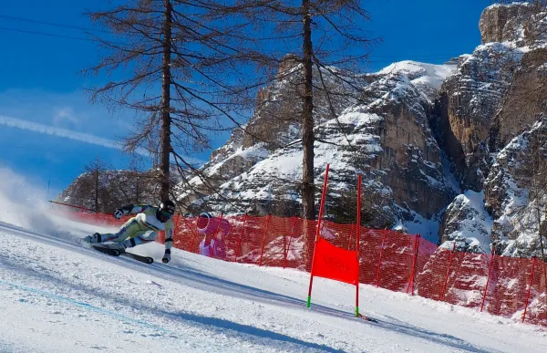 p._29_joan_verdu_cortina