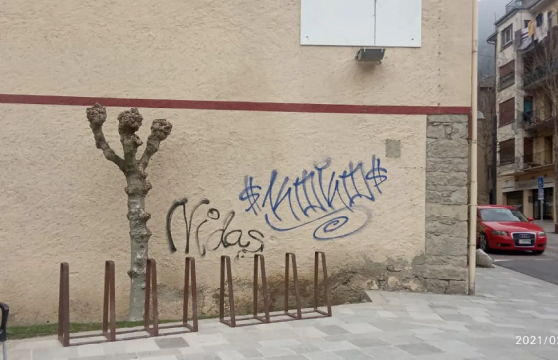 Una de les pintades que ha aparegut aquest matí a Encamp.