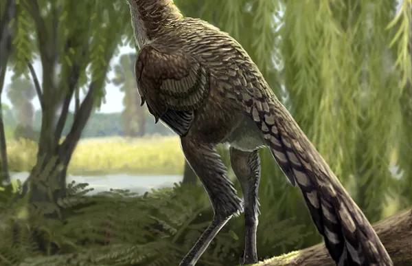 recreacio_tamarro_insperatus_web