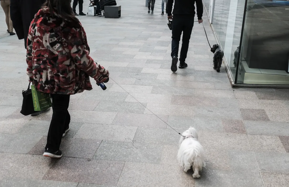 Una dona passejant amb el seu gos per la via pública.