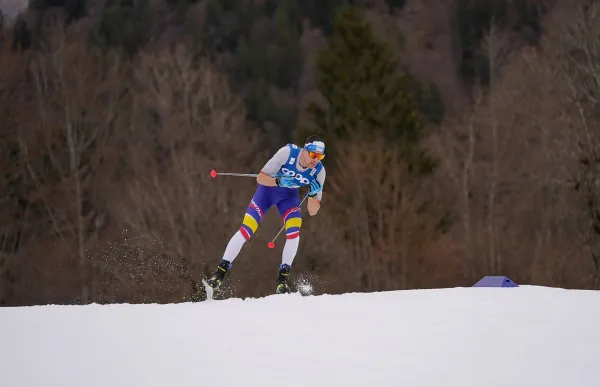 p._29_esteve_nordic_focus