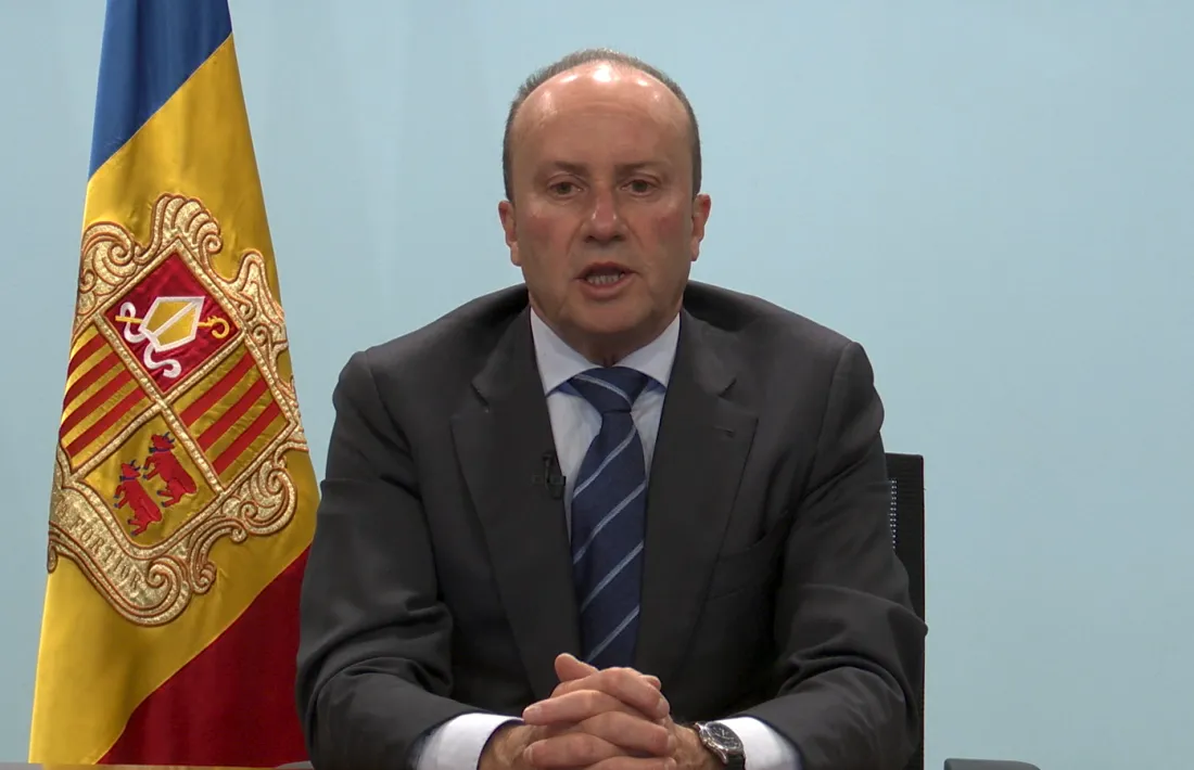 Josep Maria Rossell, durant la seva intervenció telemàtica al Congrés de Nacions Unides.