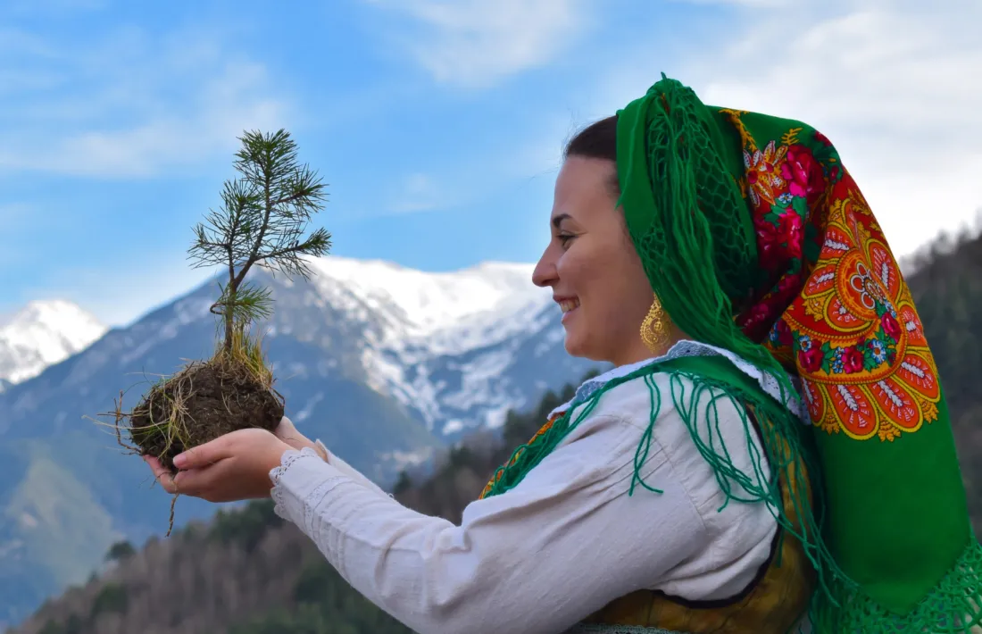 Fotografia del cartell que anuncia la plantada de l'arbre diumenge vinent.