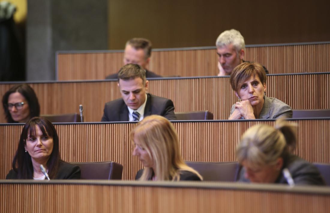Parlamentaris demòcrates i liberals en una sessió del Consell General.