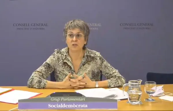 p._09_vela_compareixenca_consell