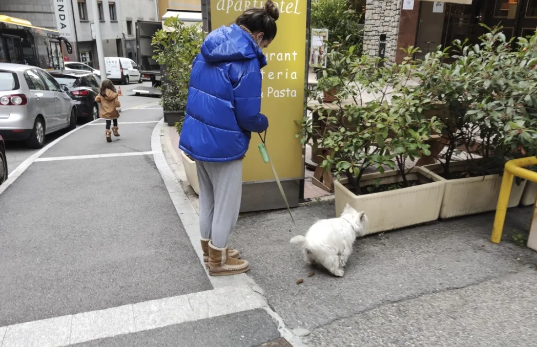 Una noia recollint els excrements de la seva mascota al carrer.