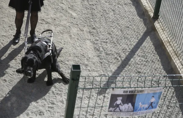 p._10.1_gos_pipica_-_facundo_santana