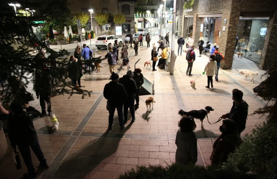 Propietaris amb les seves mascotes en una concentració contra la taxa de tinença de gossos.