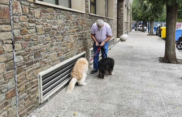 p._10.1_gos_-_facundo_santana_2