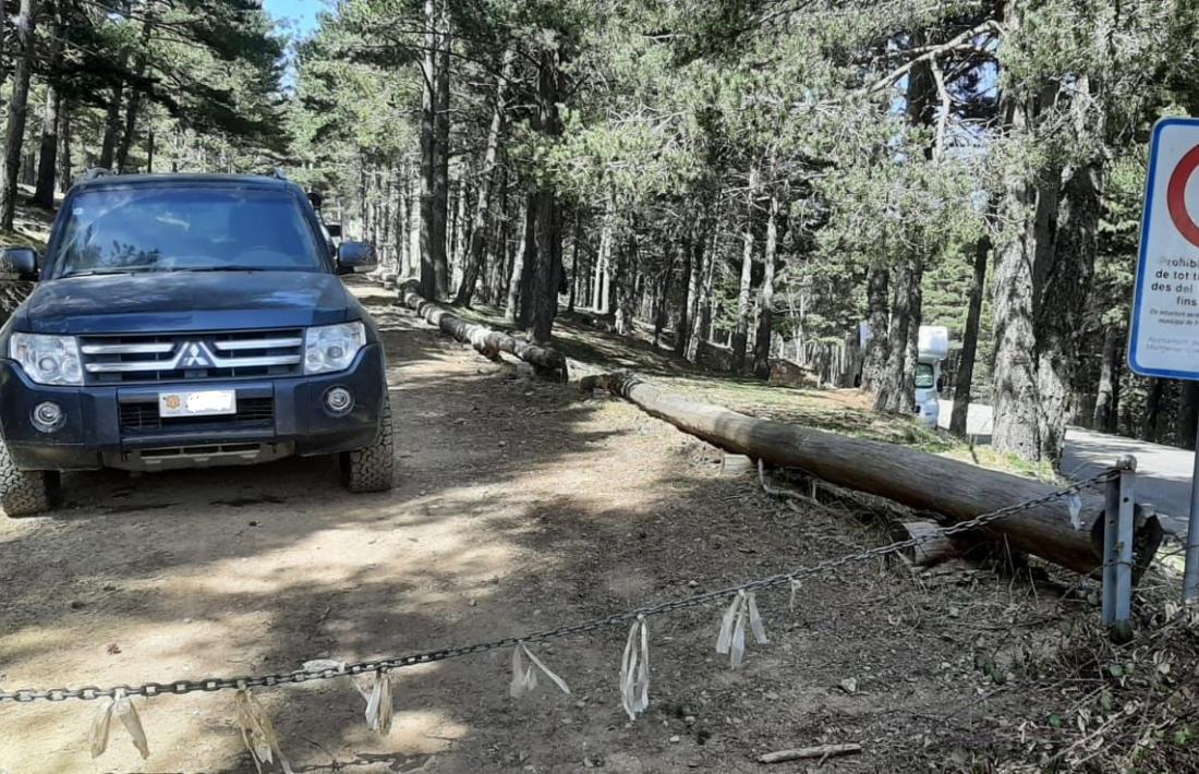 La prohibició d’accedir amb vehicles a l’interior del parc està perfectament senyalitzada i s’han instal·lat mesures per impedir-ho. 