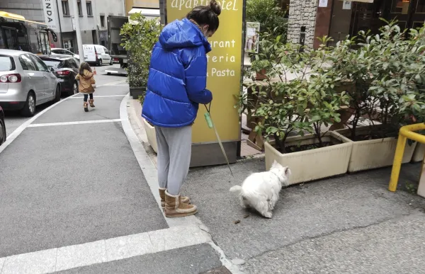 p._9.1_gos_caca_-_facundo_santana_0