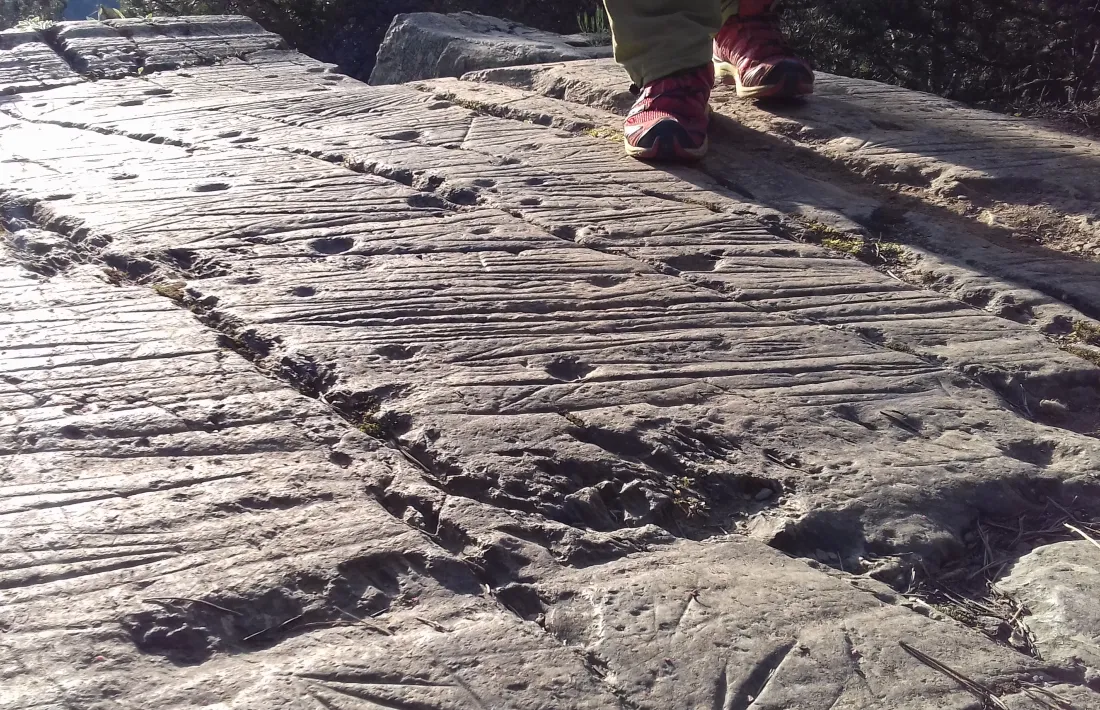 La tipologia i la simbologia dels gravats ara localitzats (segons un dibuix de Jordi Casamajor) recorda les incisions fusiformes i naviformes del Roc de les Bruixes, d’unes proporcions molt superiors.