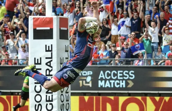 p._28_david_mele_bona