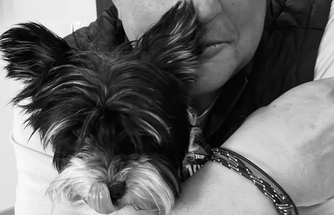 El Koko, de nou en mans del seu propietari, que tant el va buscar. 