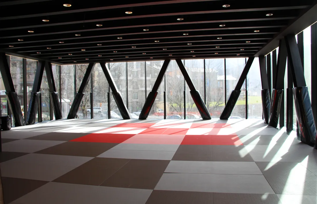 Sala d'arts marcials del CEO.