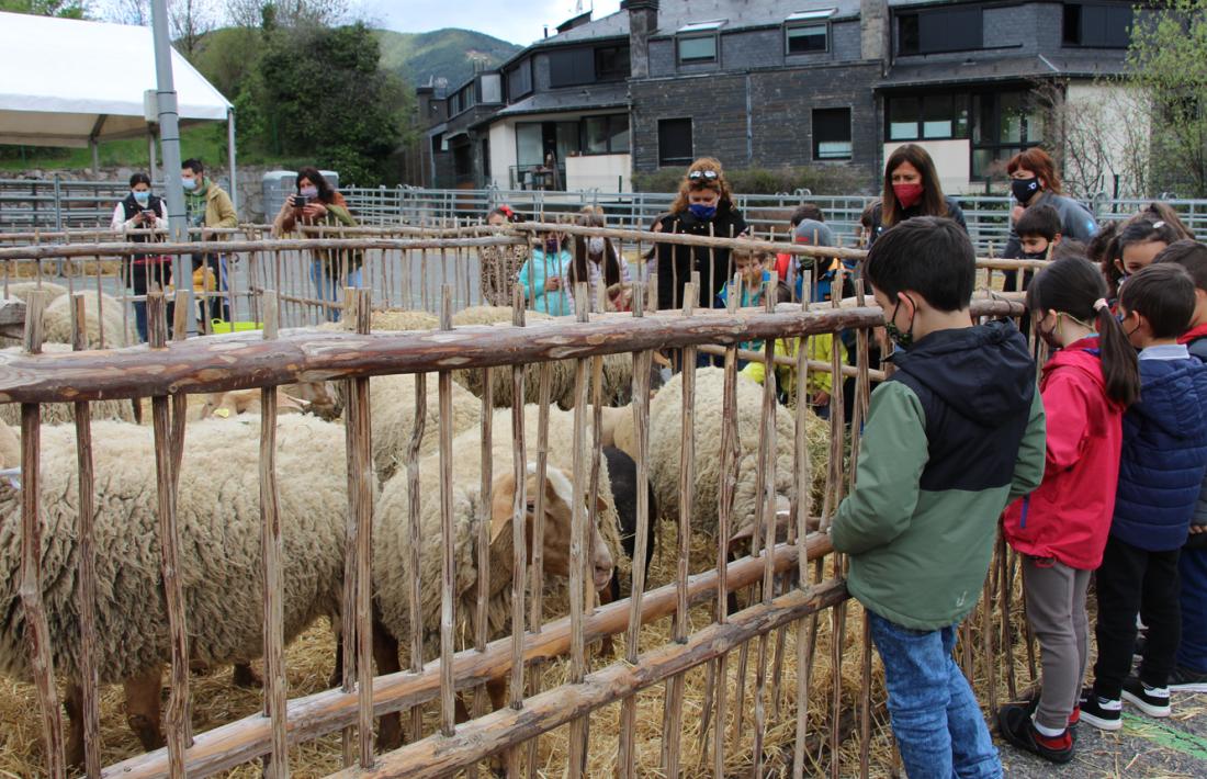 Alumnes visitant la fira del bestiar d'Ordino.