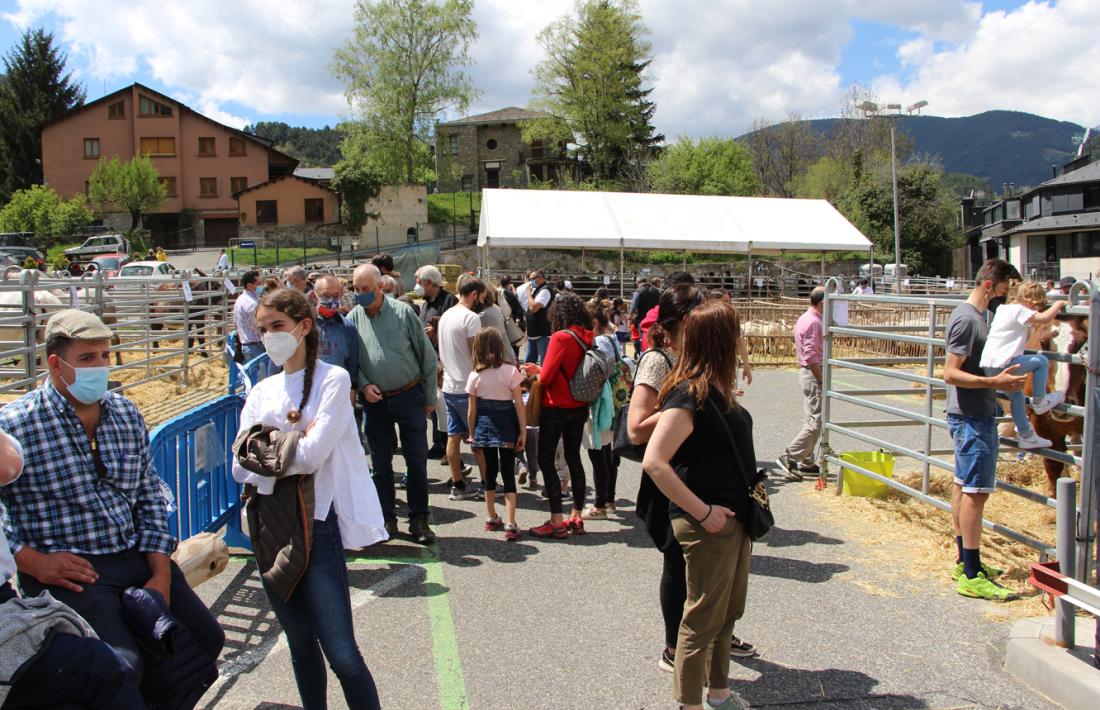 Ordino ha celebrat aquest cap de setmana la Fira del bestiar.