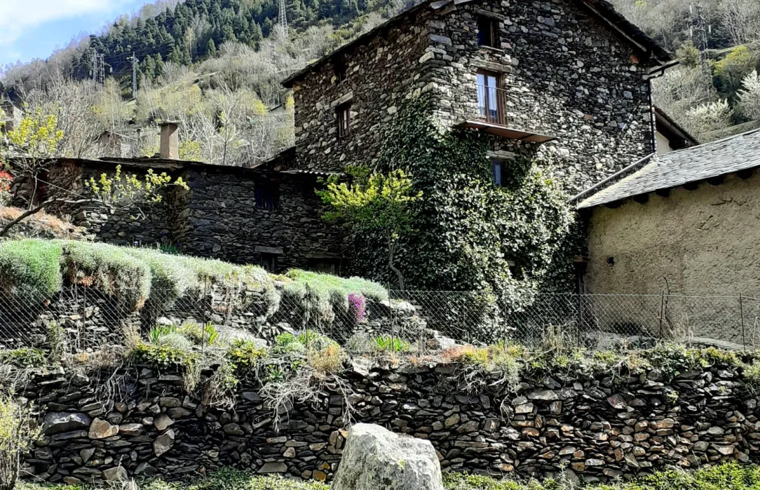 La pedra dreta de Molleres, la setmana passada, s’aixeca enmig d’un camp de ca l’Endrieta.