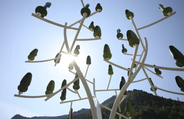 p._11_arbre_del_vent_-_facundo_santana