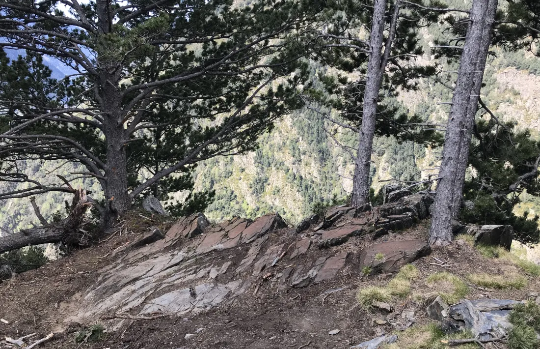 Perspectiva general del jaciment, amb els gravats distribuïts per tot l’aflorament d’esquist.