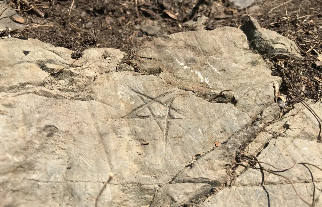 Perspectiva general del jaciment, amb els gravats distribuïts per tot l’aflorament d’esquist.