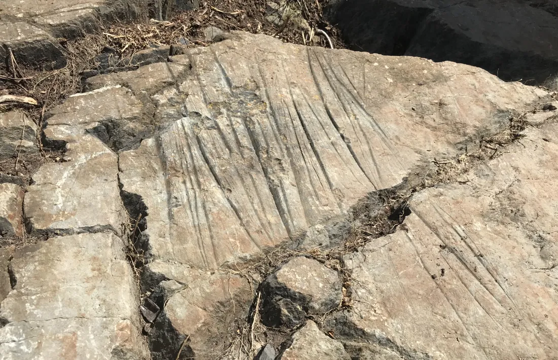 Més gravats naviformes.