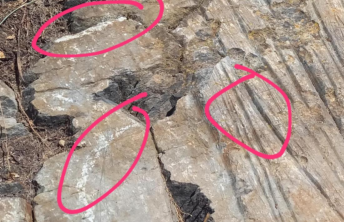 Marques que en opinió de Remolins han deixat les eines de ferro amb què –sospita– es va excavar el jaciment.
